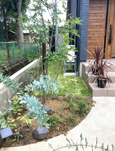 金沢市植栽 石川県植栽 金沢市シンボルツリー 石川県シンボルツリー