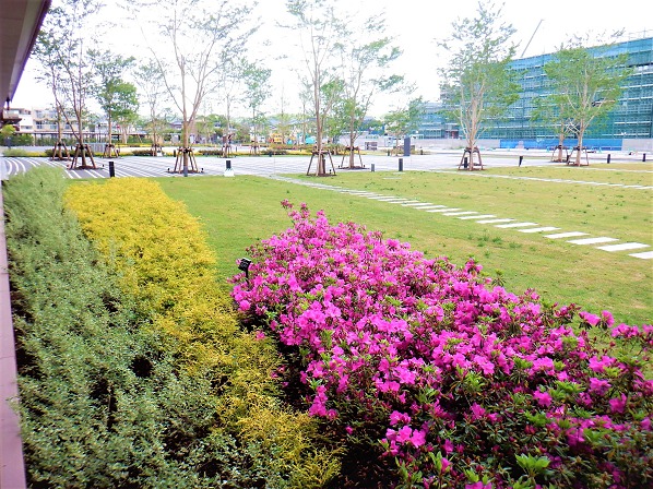 新石川県立図書館整備工事(外構・植栽工その1)